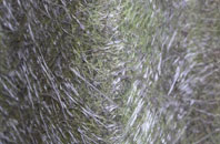 Crofts Bank fibreglass roof work